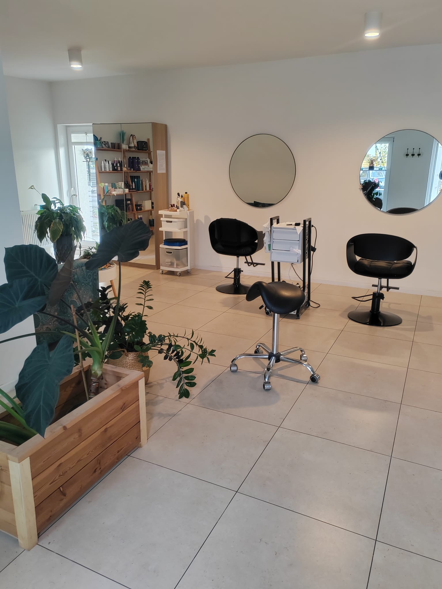Jasne wnętrze salonu z dwoma okrągłymi lustrami, czarnymi fotelami fryzjerskimi i roślinami doniczkowymi. Widoczny regał z produktami i fotel na kółkach.