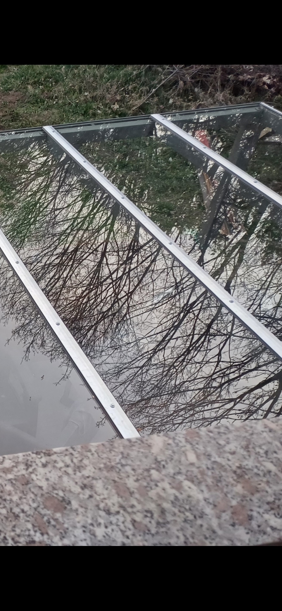 Szklany dach pergoli z metalową ramą, odbijający nagie gałęzie drzew. Widok z dołu, z fragmentem kamiennego murku w kadrze.