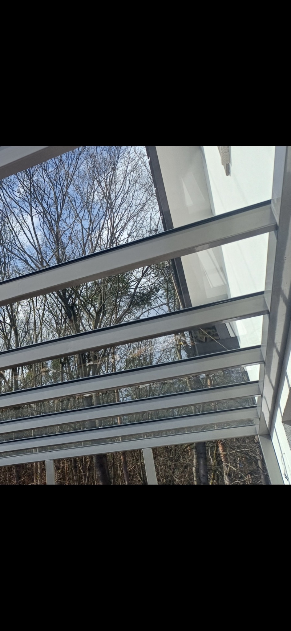 Nowoczesna pergola z metalową konstrukcją i przezroczystym zadaszeniem, widok z dołu na tle drzew i nieba. Minimalistyczny design.