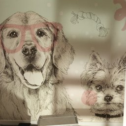 Tapetowanie Piaseczno 4