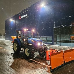 Service Creative Green Transport Marcel Kopaniszyn - Trawa z Rolki Gdańsk