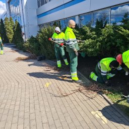 Service Creative Green Transport Marcel Kopaniszyn - Grupa pracowników w odblaskowych strojach pielęgnuje zieleń przy biurowcu. Usuwanie suchych gałęzi i porządkowanie terenu wokół krzewów.