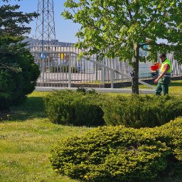 Odśnieżanie dróg i placów Gdańsk 4