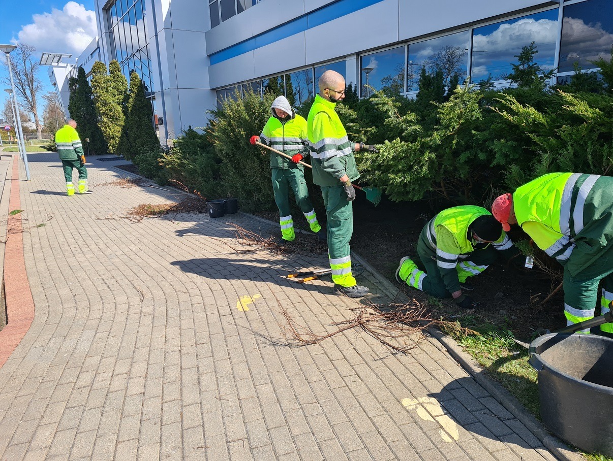 Grupa pracowników w odblaskowych strojach pielęgnuje zieleń przy biurowcu. Usuwanie suchych gałęzi i porządkowanie terenu wokół krzewów.