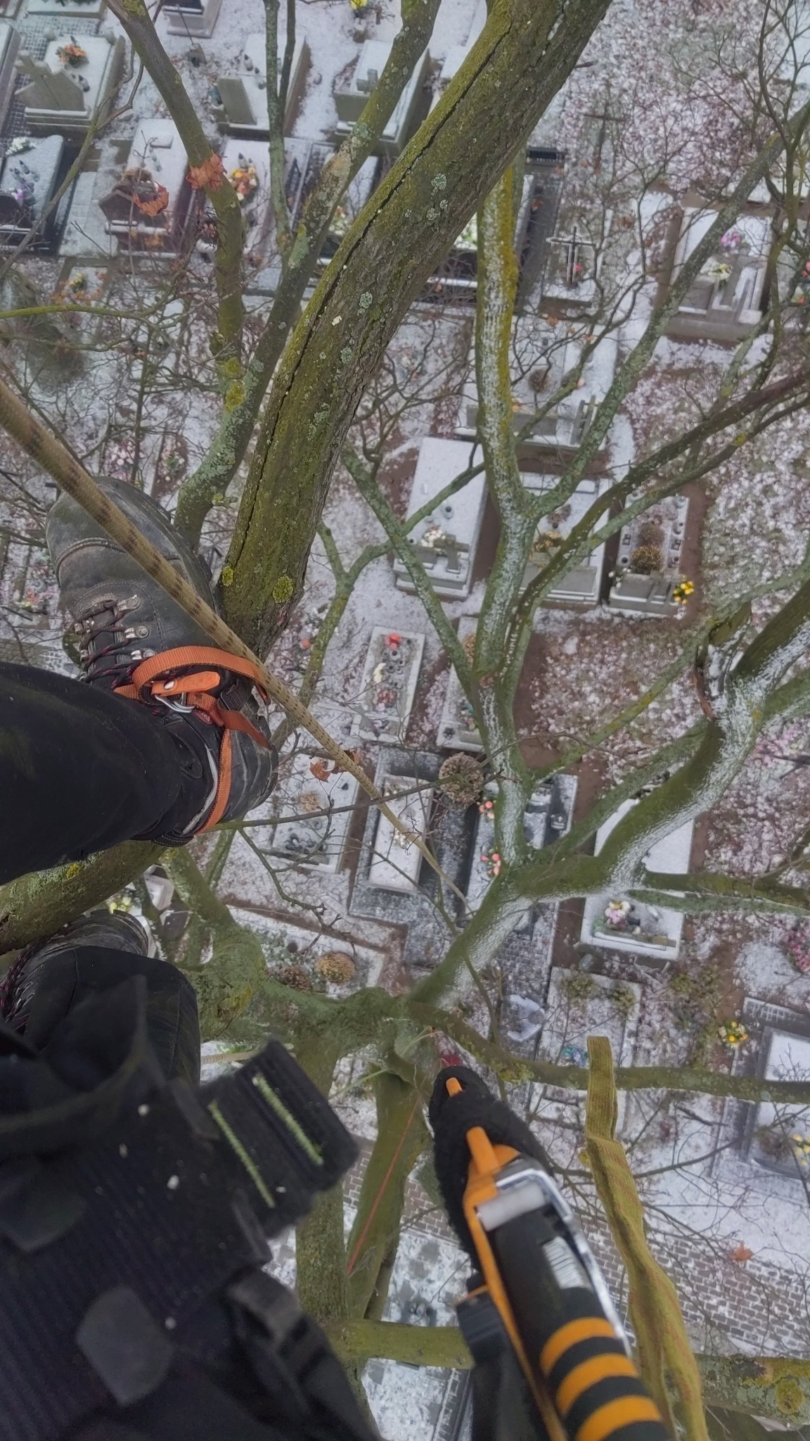 Arborysta w koronie drzewa, widok z góry na cmentarz pokryty śniegiem. Ujęcie z perspektywy pracownika, widoczne narzędzie i fragment ubrania roboczego.