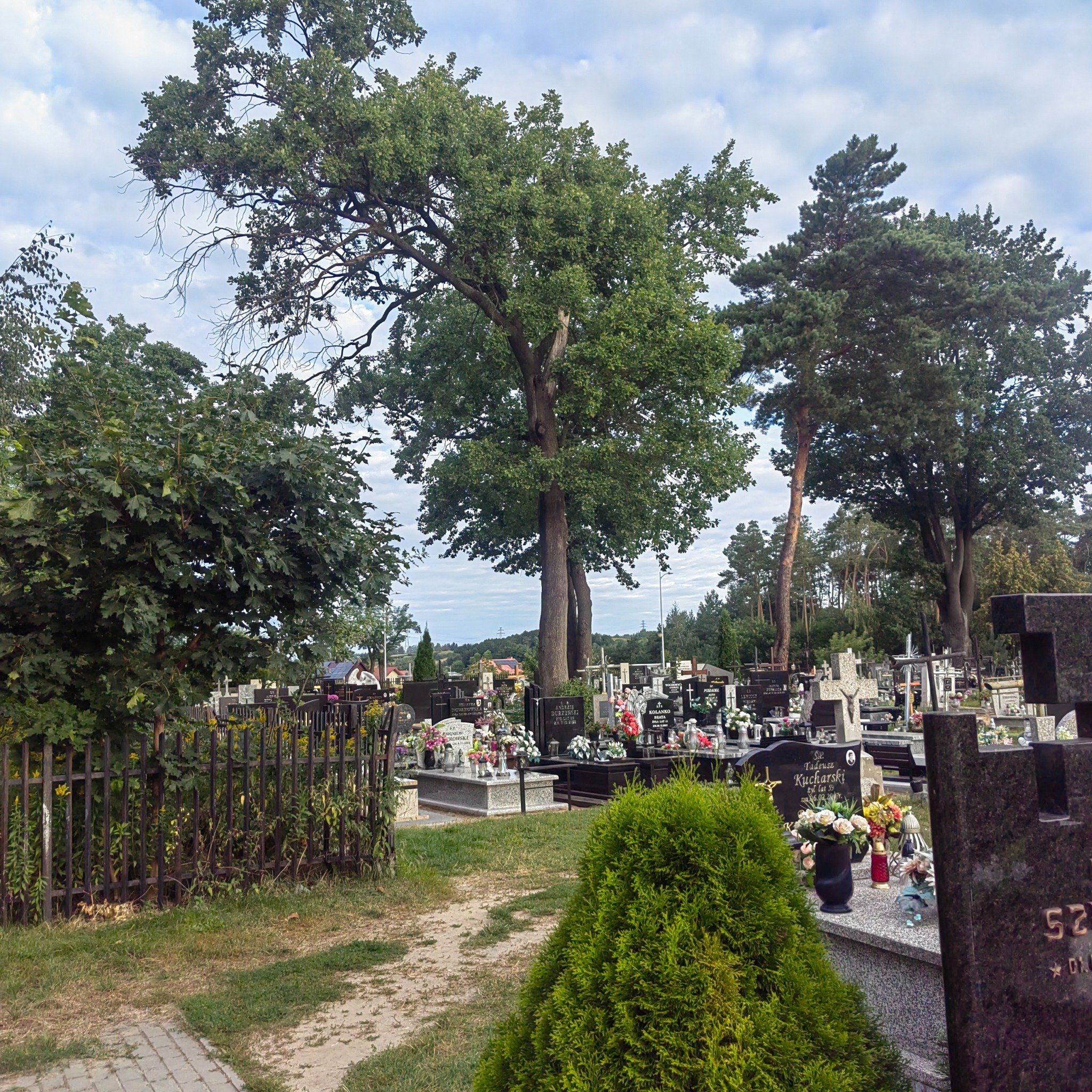 Rozległy widok na cmentarz z drzewami w tle, nagrobki z kwiatami i zniczami, ścieżka z kostki brukowej, pochmurne niebo. Ujęcie z poziomu gruntu.