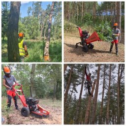 Sabosz - Porządne Wycinki Kościan