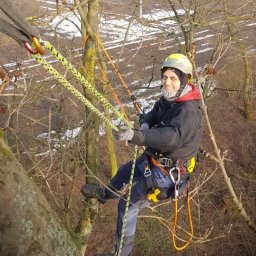 Sabosz - Wycinki Kościan