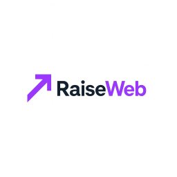 RaiseWeb - Projektowanie Indentyfikacji Wizualnej Katowice