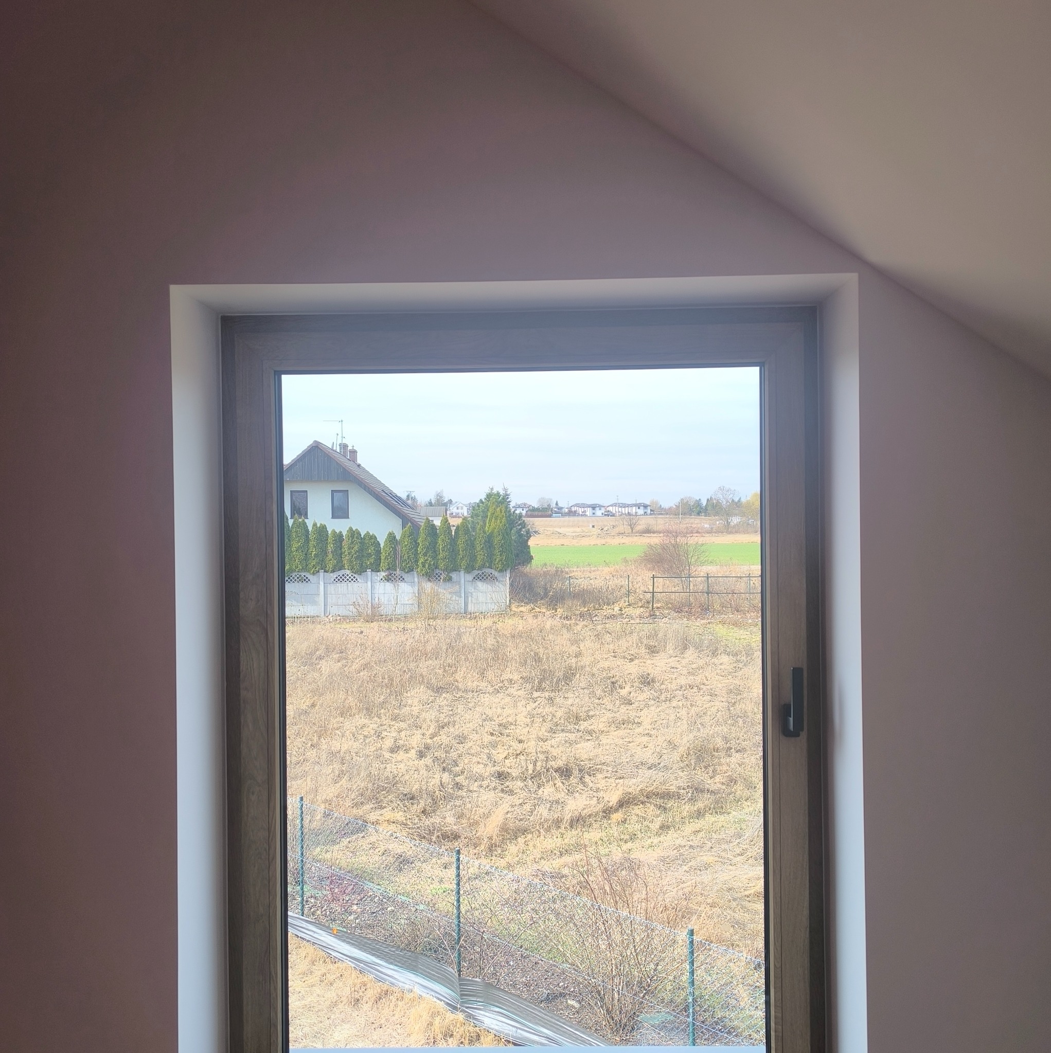 Widok z okna na poddaszu: dom z tujami, pole i ogrodzenie. Szara rama okienna, skośny sufit. Dzień, pochmurno.