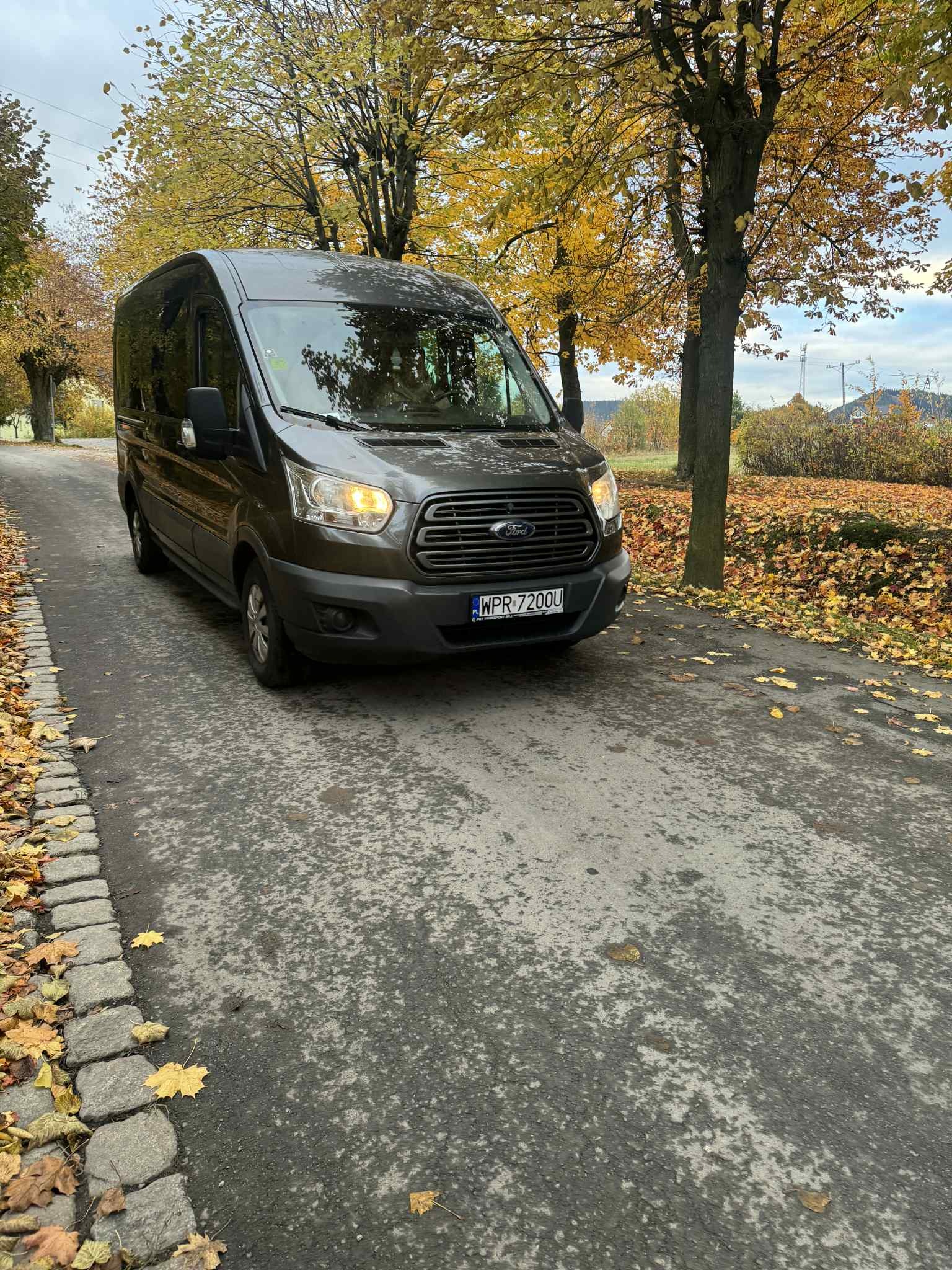 Ciemny bus Ford Transit na drodze w jesiennej scenerii, z opadłymi liśćmi i drzewami w tle. Tablica rejestracyjna widoczna.