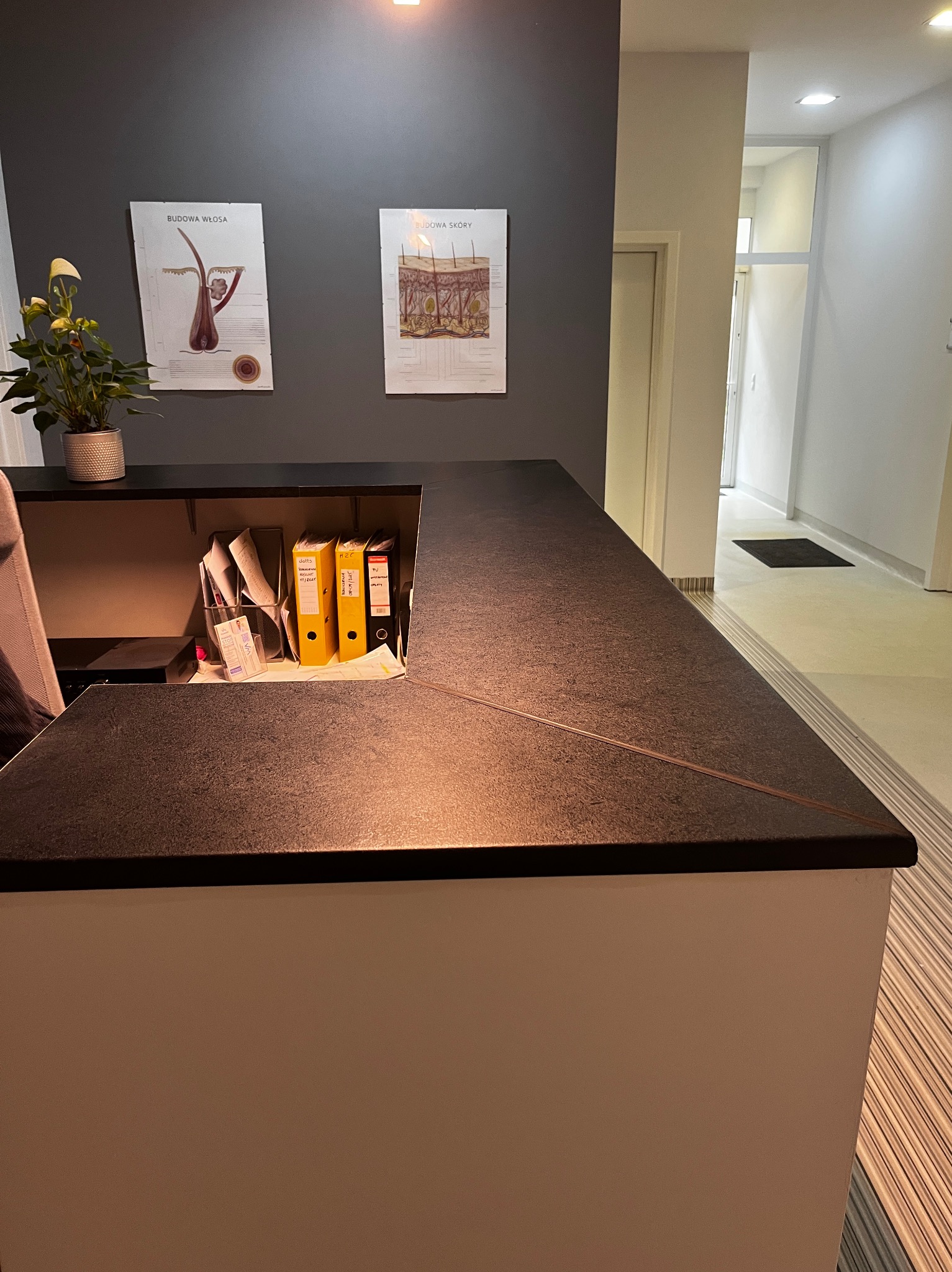 Recepcja w gabinecie lekarskim z ciemnym blatem, dokumentami i rośliną. Na ścianie plakaty edukacyjne o budowie skóry i włosa.