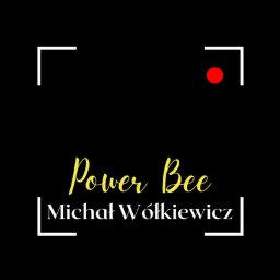 Power Bee Michał W&oacute;łkiewicz - Instalator Warszawa