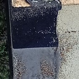 Dezynsekcja i deratyzacja Pruszków 1