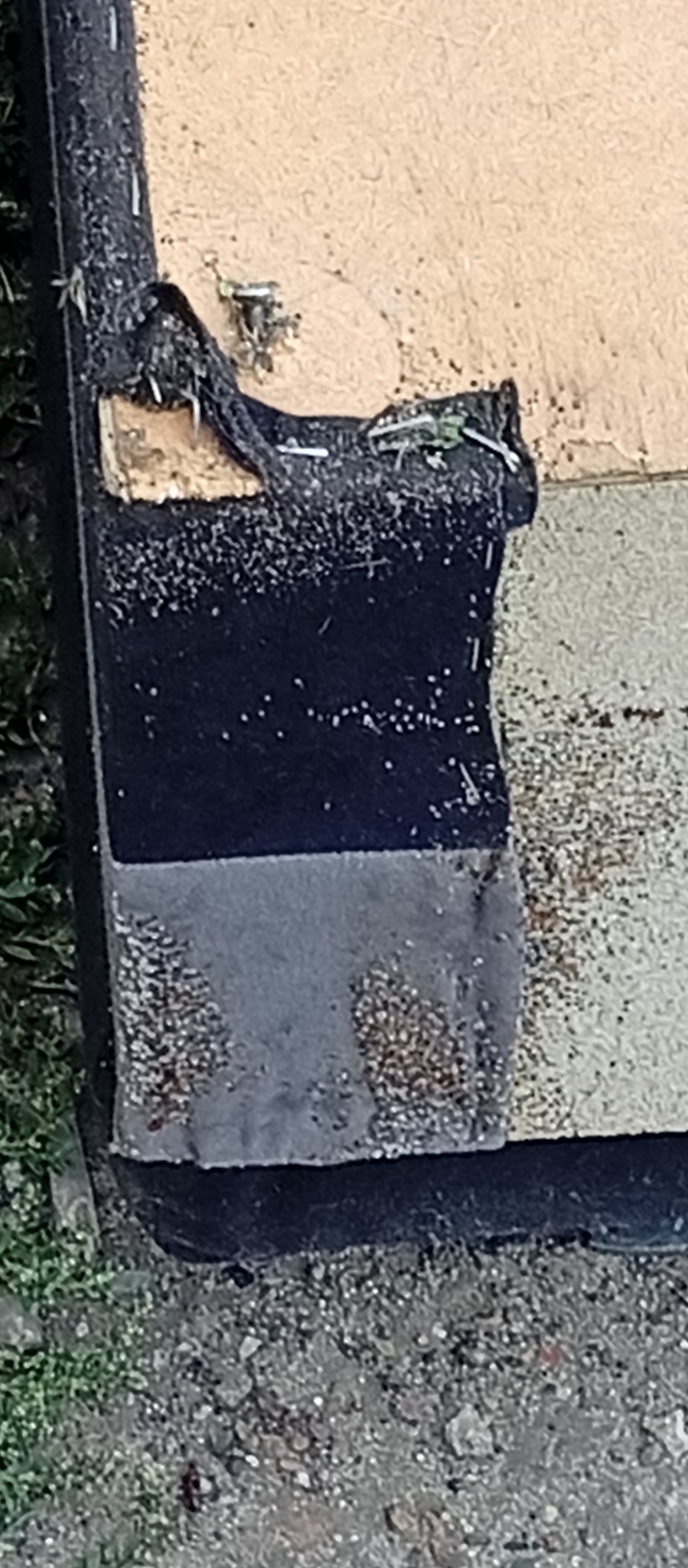 Fragment starego, zniszczonego mebla tapicerowanego z widocznymi śladami użytkowania, uszkodzeniami i zabrudzeniami. Widoczne zszywki, plamy i resztki organiczne.