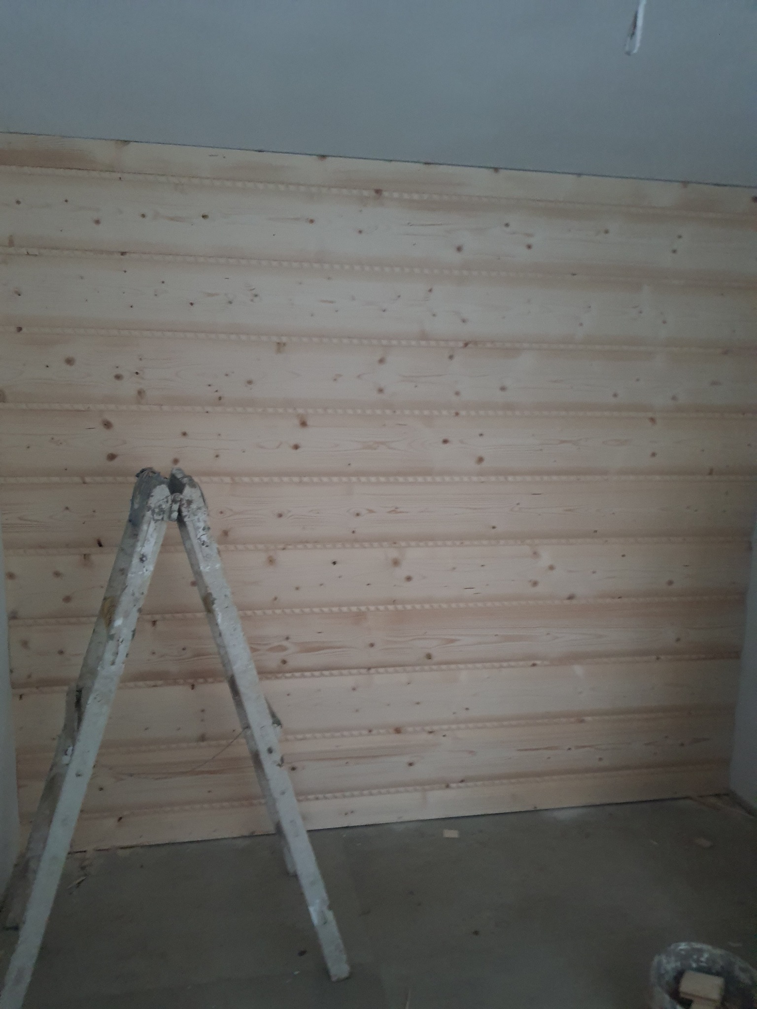 Imitacja wewnętrzna płazy