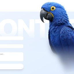 Tworzenie stron internetowych Lębork 4