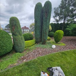 Kamil Galiczak - Zakładanie Trawników Przystajń