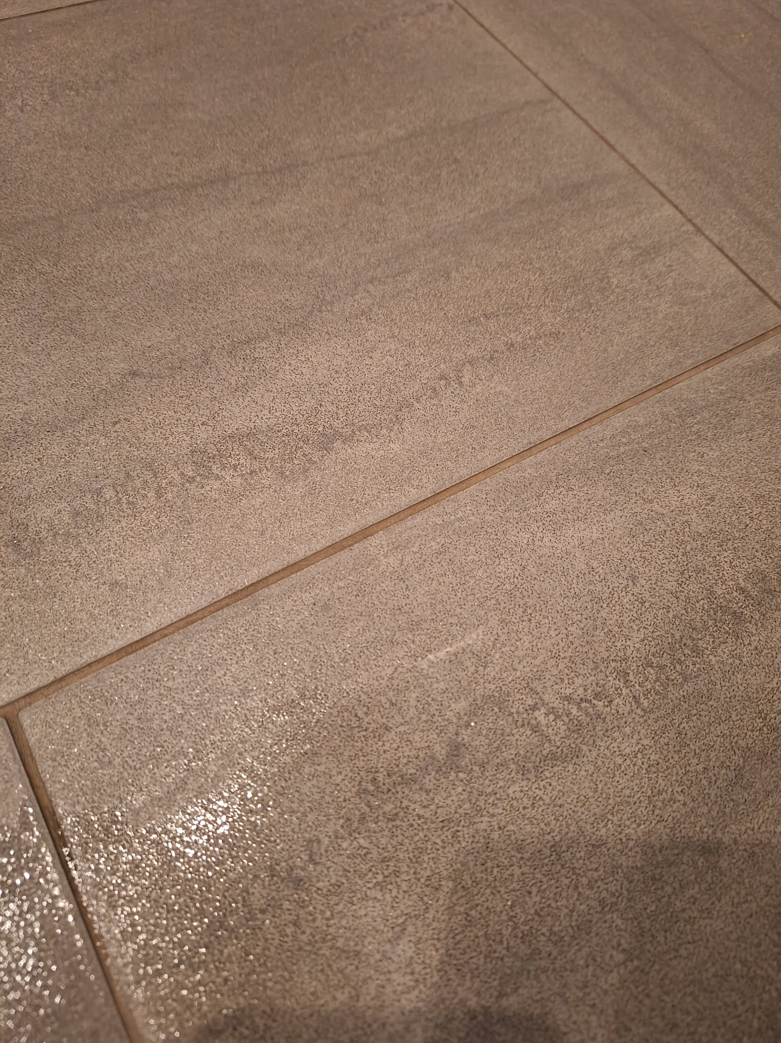 Błyszcząca, umyta podłoga z szarych płytek ceramicznych, z widocznymi fugami. Świeżo umyta powierzchnia odbija światło, ukazując czystość i gładkość.