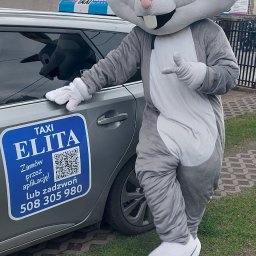 Przewóz osób Ostrów Wielkopolski 4