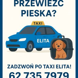 Przewóz osób Ostrów Wielkopolski 2