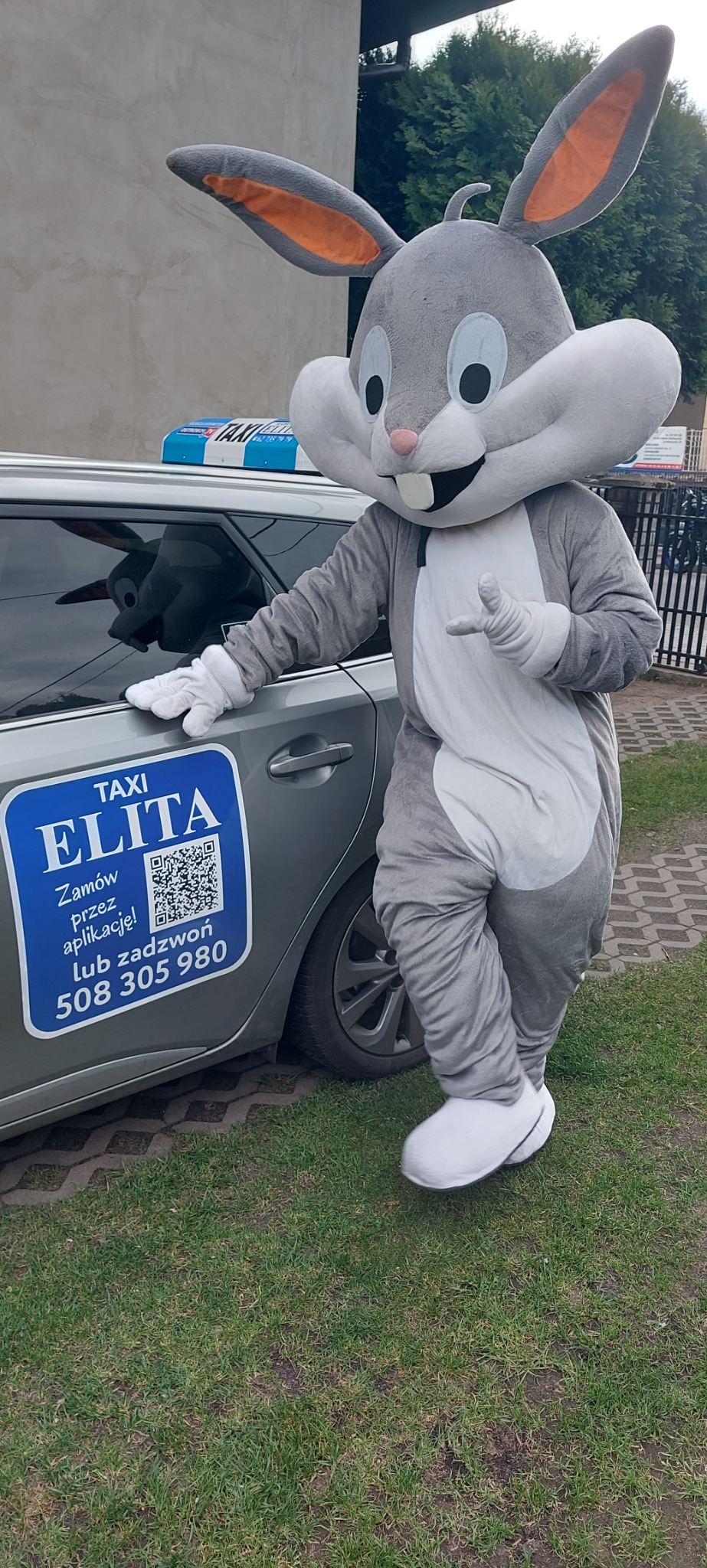 Maskotka królika Bugs obok taksówki 'Elita' z numerem telefonu i kodem QR. Nietypowa reklama firmy transportowej.