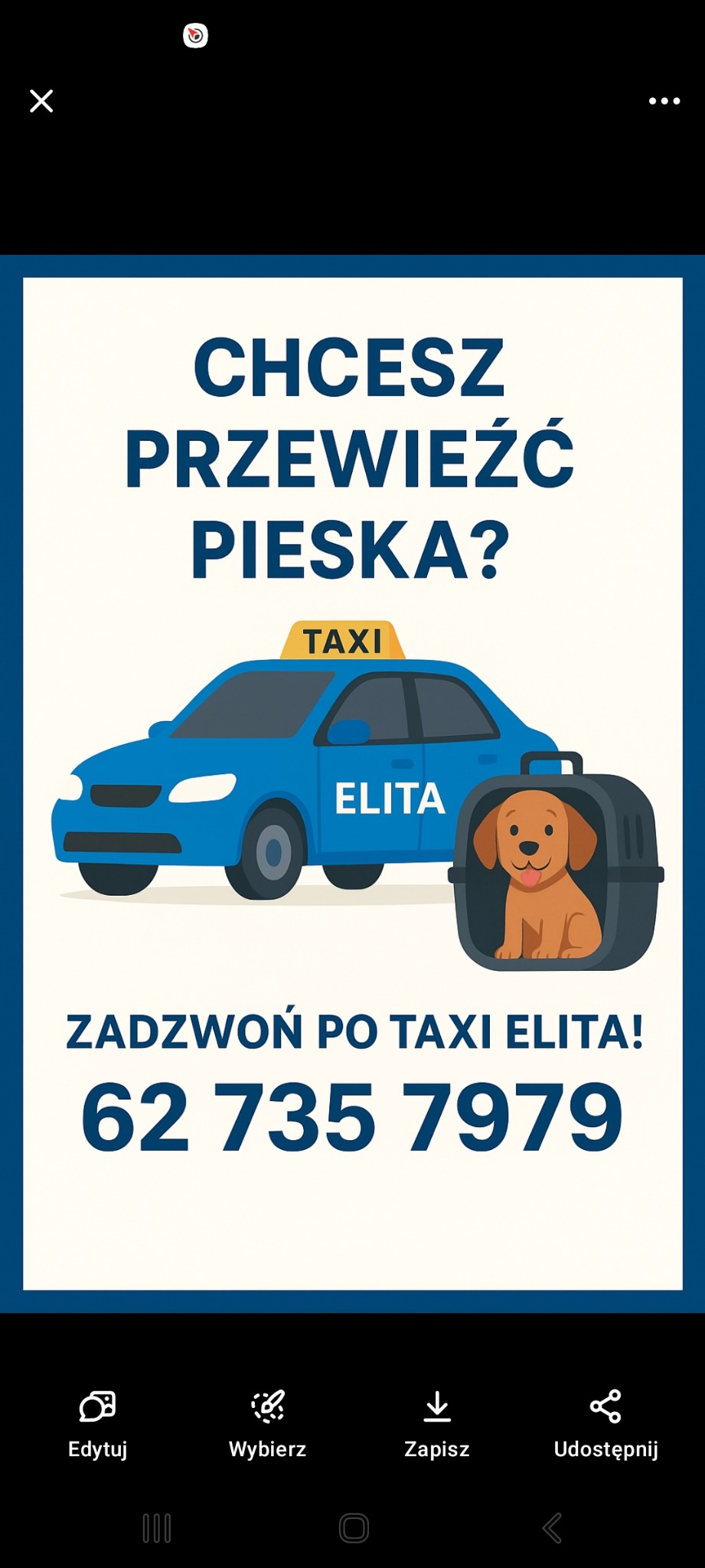 Ilustracja: Taxi Elita oferuje przewóz zwierząt. Błękitny samochód z napisem 'Elita' i pies w transporterze. Numer telefonu: 62 735 7979. Hasło: Chcesz przewieźć pieska?