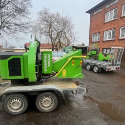 Wycinka drzew Prawęcice 2