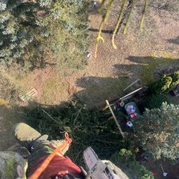 Forestax Artur Niewczas - Arborysta z piłą spalinową w trakcie wycinki drzewa, widok z góry na ogród z fragmentami ściętych gałęzi i sprzęt do pracy na wysokości.