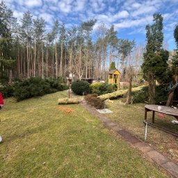 Forestax Artur Niewczas - Powalone drzewo na trawniku po wycince, widoczne pocięte gałęzie i pień. W tle las i plac zabaw. Pomarańczowa lina na trawie.