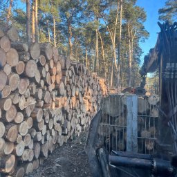 Forestax Artur Niewczas - Stos pni drzew ułożonych równolegle, obok maszyna do wycinki z metalową klatką wypełnioną drewnem, w tle las iglasty i błękitne niebo.