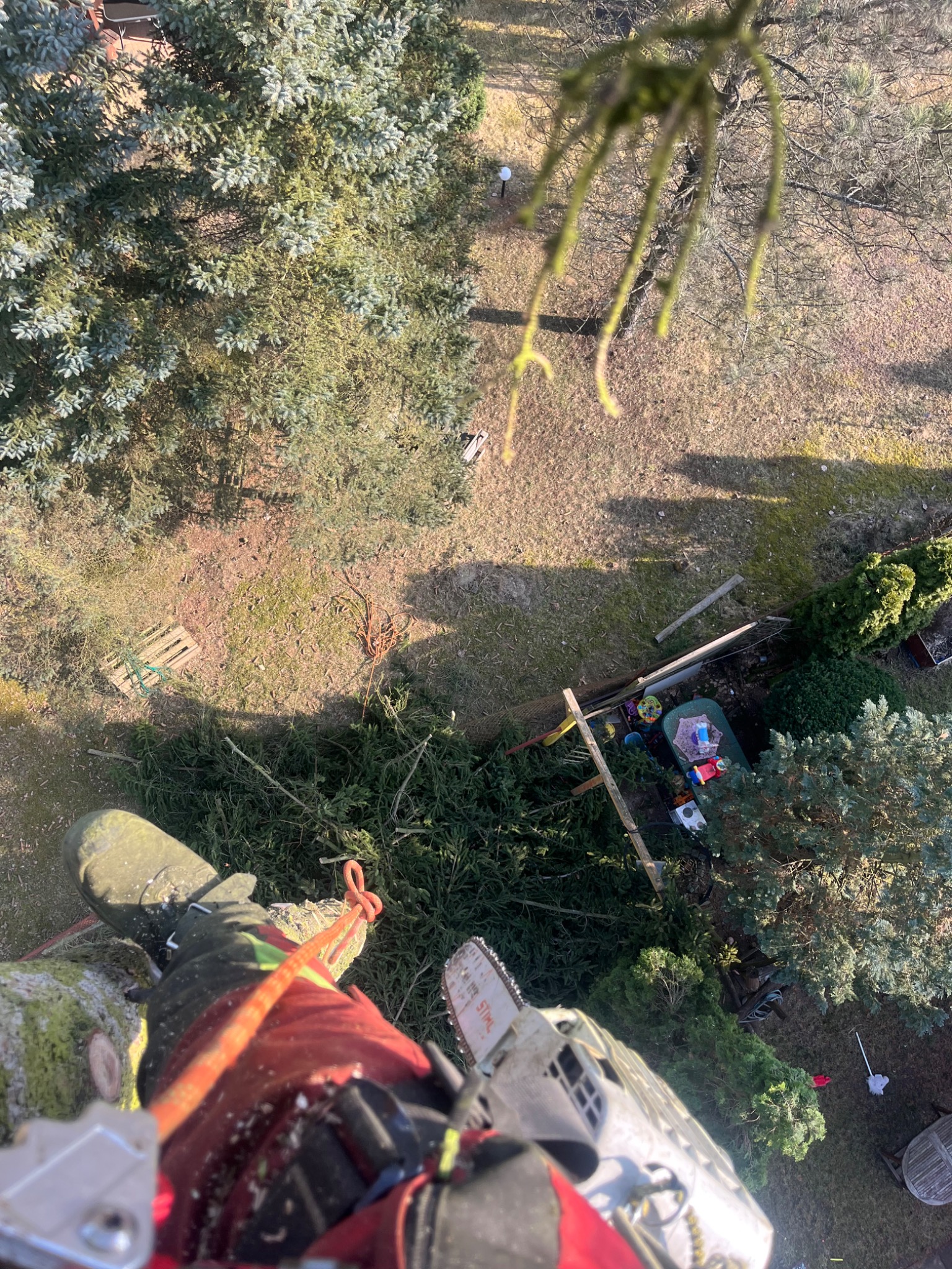 Arborysta z piłą spalinową w trakcie wycinki drzewa, widok z góry na ogród z fragmentami ściętych gałęzi i sprzęt do pracy na wysokości.