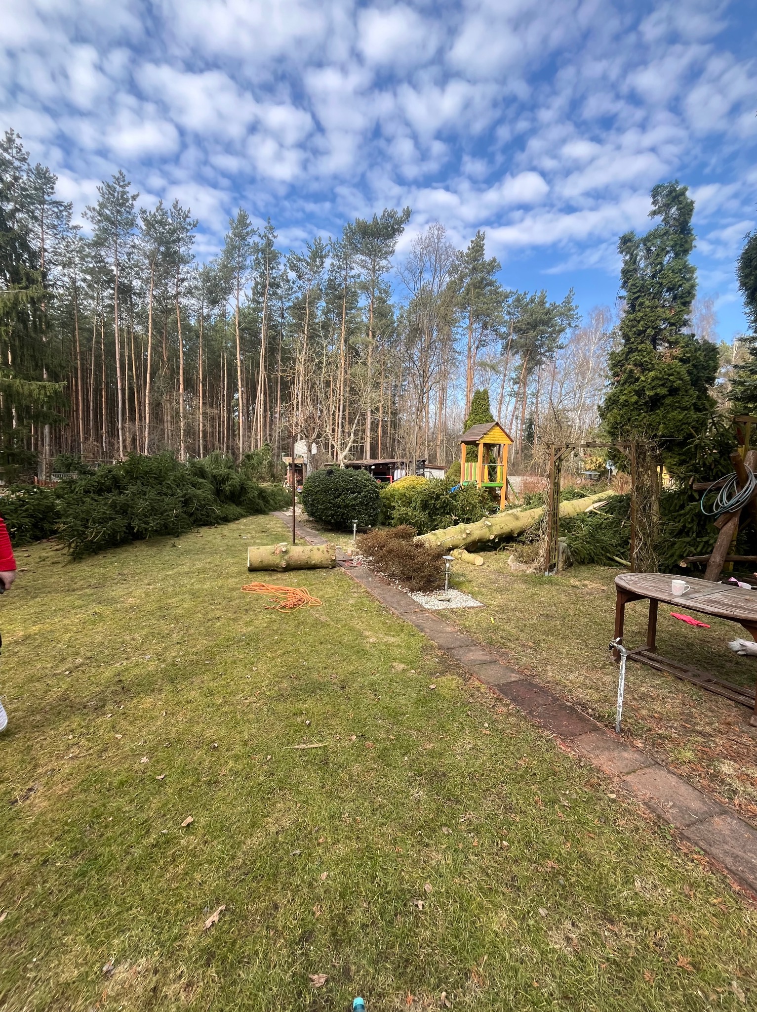 Powalone drzewo na trawniku po wycince, widoczne pocięte gałęzie i pień. W tle las i plac zabaw. Pomarańczowa lina na trawie.