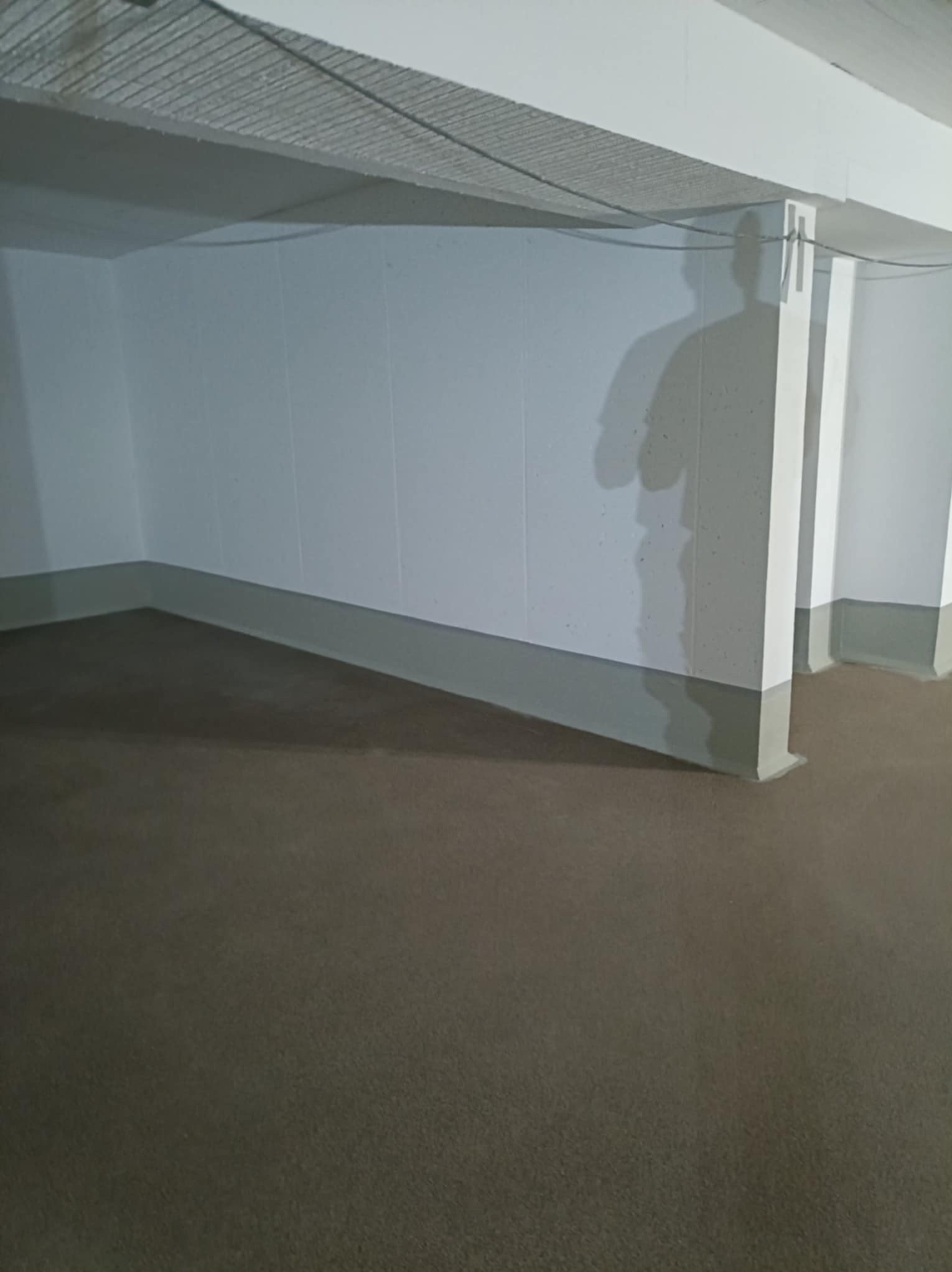 Szara posadzka żywiczna w surowym wnętrzu z białymi ścianami i kolumnami. Widoczny cień osoby na ścianie. Minimalistyczny design, surowy klimat.