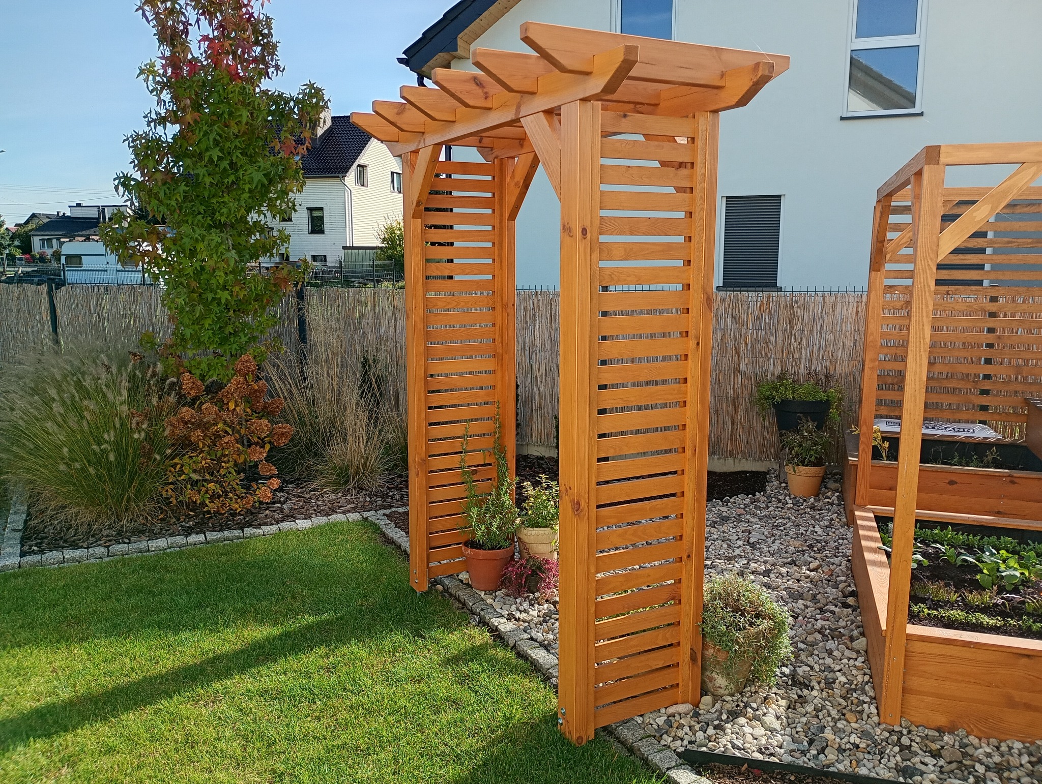 Drewniana pergola z roślinami w donicach, element dekoracyjny ogrodu. Widoczne trawnik, kamienie i ogrodzenie z trzciny. Słoneczny dzień.