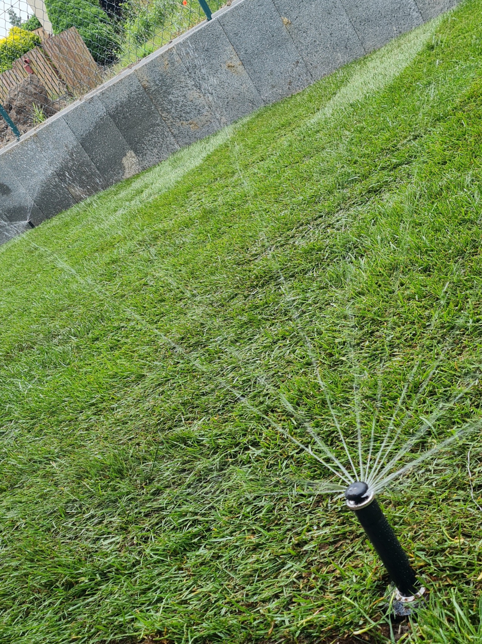 Automatyczny system nawadniania trawnika w akcji, zraszacz rozpyla wodę na soczystą, zieloną trawę. Widoczny fragment murku oporowego.