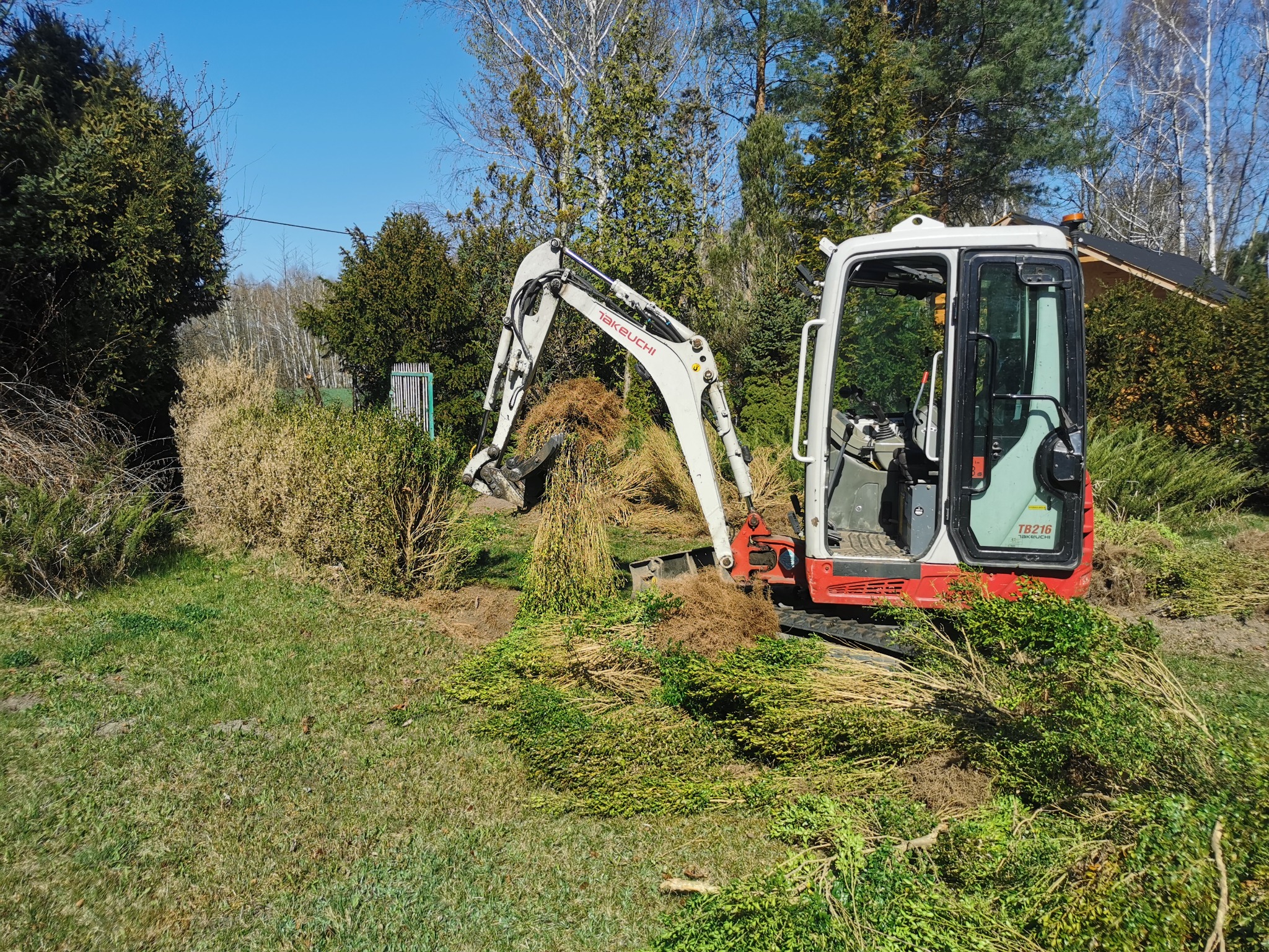 Mini koparka Takeuchi TB216 usuwa krzewy na działce. Widoczne ścięte gałęzie i operator w kabinie. Słoneczny dzień, zielona trawa i drzewa w tle.