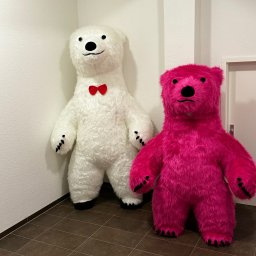 Euromove Wiktor Rząsa - Wynajem Dmuchańców Szczecin