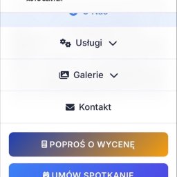 Projekt zrealizowany dla firmy lakierniczej widok z wersji mobilnej, integracja sklepowa, marketing, projekt design, doradztwo