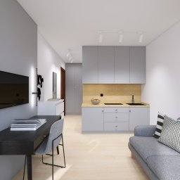 ARBUD TOMASZ PUŃKO - Nowoczesne wnętrze kawalerki: szara kuchnia, biurko z książkami, sofa z poduszkami i telewizor na ścianie. Minimalistyczny design z drewnianymi akcentami.