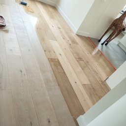 Taras Vysochynskyi - Lakierowanie jasnego parkietu w pokoju z żyrafą. Część podłogi już polakierowana, widoczny wałek i osoba wykonująca pracę. Jasne wnętrze.