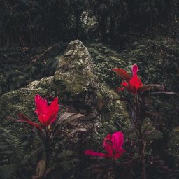 Fotograf ślubny Kraków 1