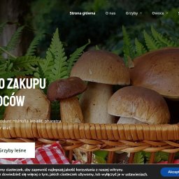 Tworzenie stron internetowych Warszawa 1