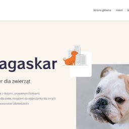 Helisa Factory Sp. z o.o. - Strona internetowa hotelu dla zwierząt 'Madagaskar' z ilustracjami i zdjęciem psa rasy buldog angielski. Grafika w jasnych, pastelowych kolorach.