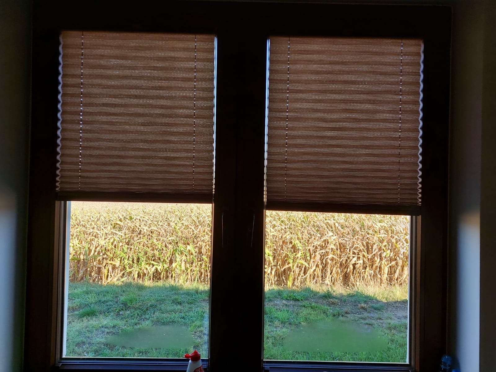 Brązowe rolety plisowane w oknie z widokiem na pole kukurydzy. Delikatne światło dzienne. Widoczny fragment parapetu z butelką płynu.