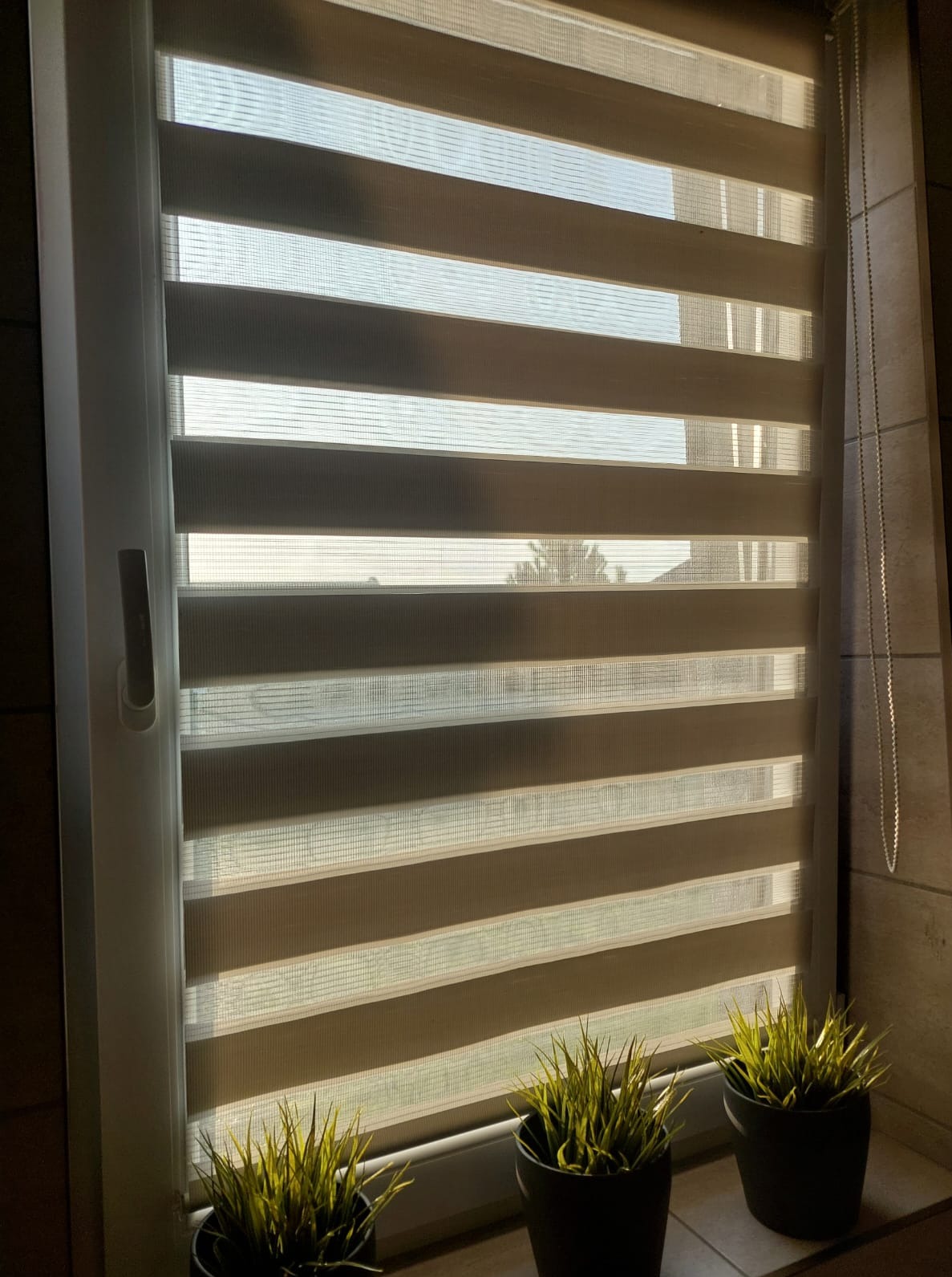 Beżowa roleta dzień noc w oknie PCV, z trzema doniczkami z zielonymi roślinami na parapecie. Widoczne poziome pasy rolety i łańcuszek sterujący.