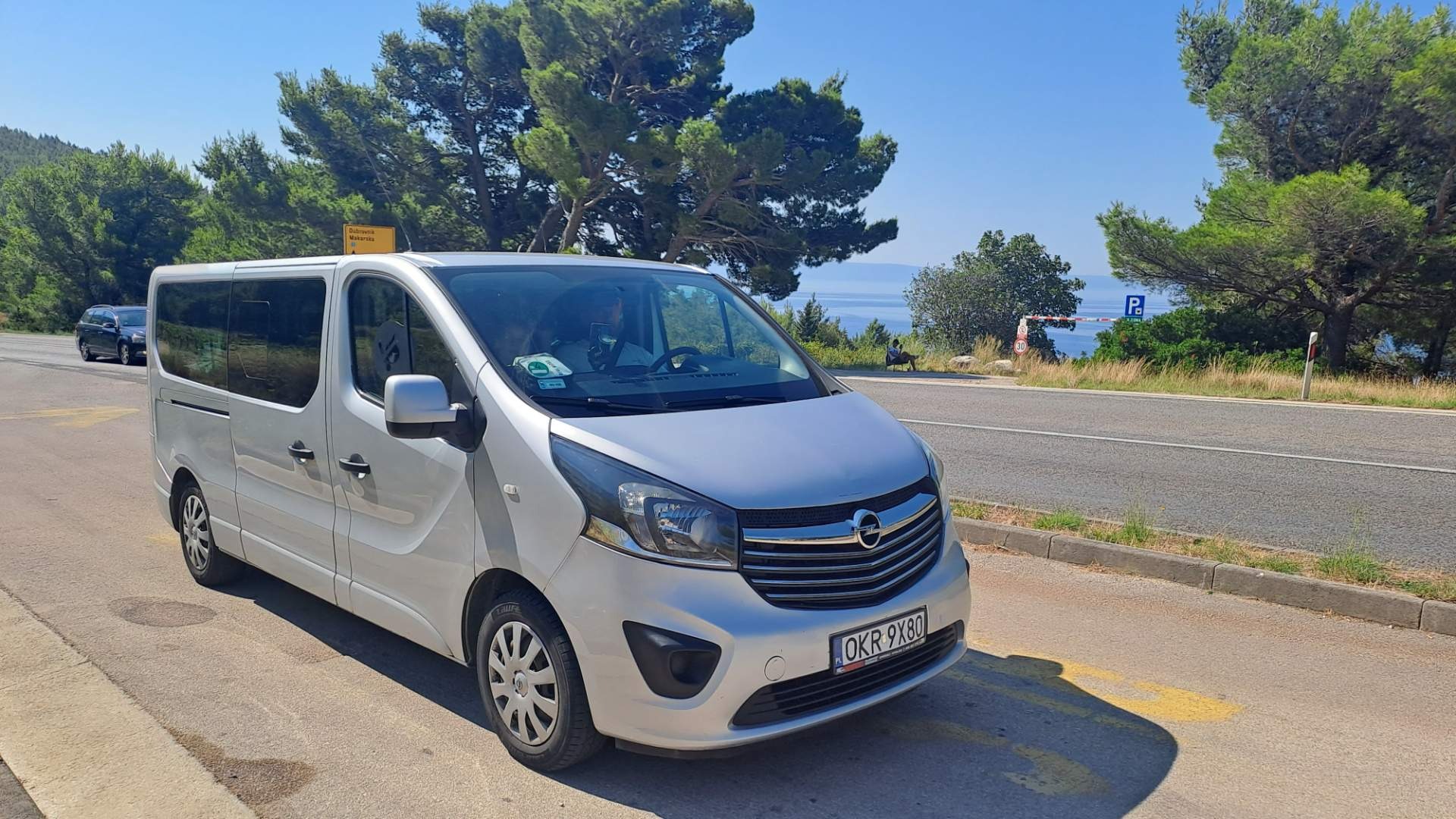 Srebrny Opel Vivaro zaparkowany na tle malowniczego krajobrazu z morzem i zielenią. Tablica rejestracyjna OKR 9X80. Słoneczny dzień, błękitne niebo.