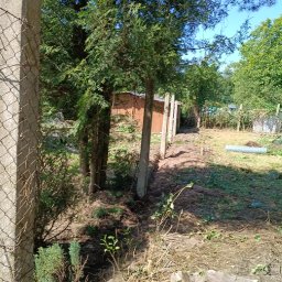 SZURU,BURU USŁUGI SPRZĄTAJĄCE DANIEL BARANOWSKI - Perfekcyjne Sadzenie Roślin Grajewo