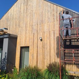 P.u.dziuniek - Malowanie drewnianej elewacji domu z rusztowania. Część ściany pomalowana na ciemny kolor, widoczne rośliny i okno. Praca w toku, słoneczny dzień.