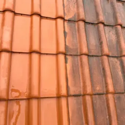 Tak wygląda dachówka po naszej usłudze.